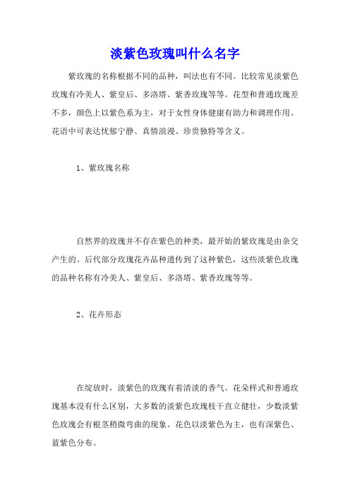 淡紫色玫瑰叫什么名字