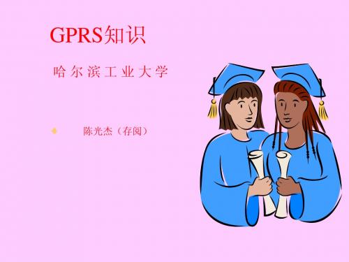 GPRS 简介