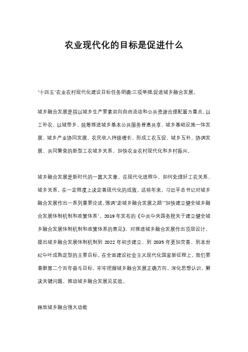 农业现代化的目标是促进什么