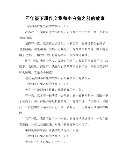 四年级下册作文我和小白兔之前的故事