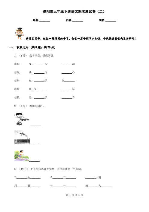 濮阳市五年级下册语文期末测试卷(二)