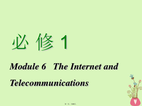 高考英语一轮复习Module6TheInternetandTelecommunications课件外