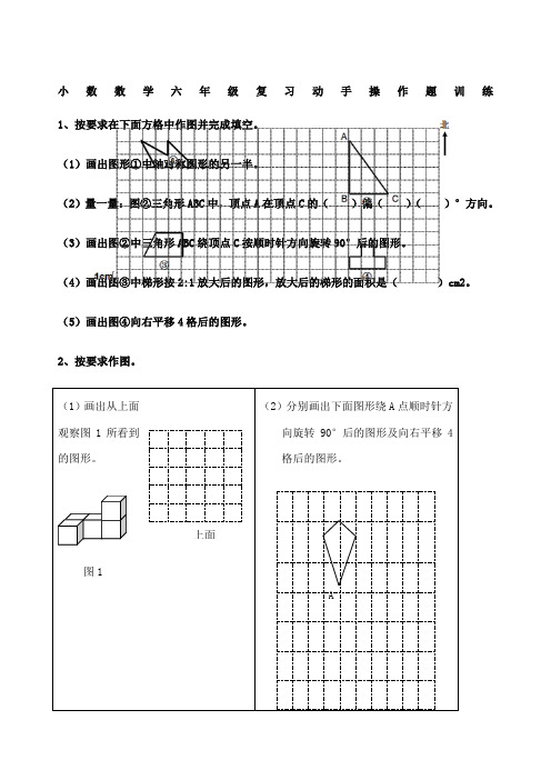 六年级数学下册操作题专项训练