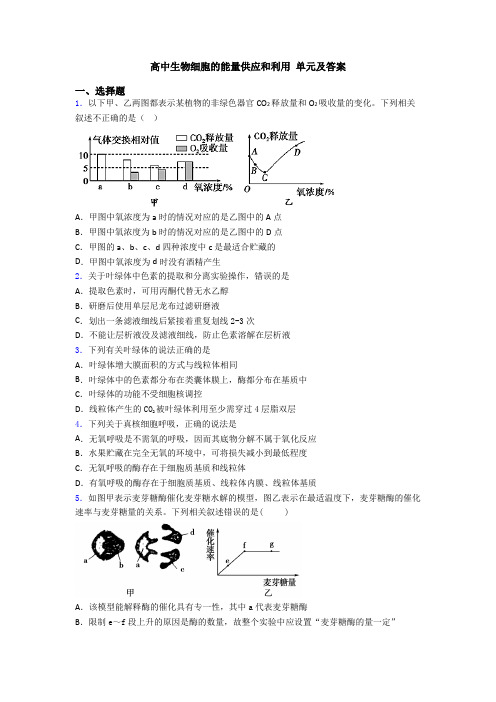 高中生物细胞的能量供应和利用 单元及答案