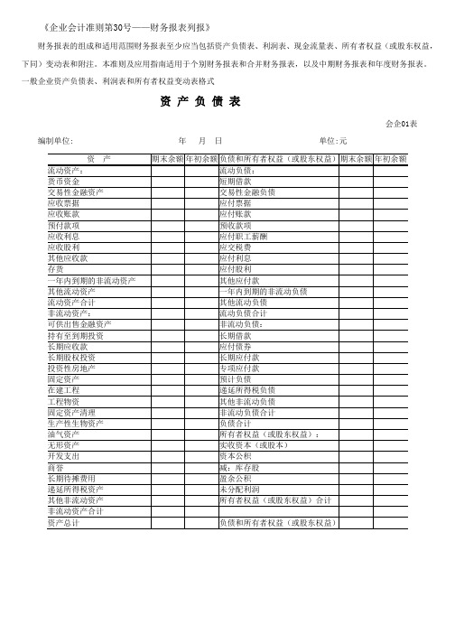 新会计准则全套报表模板