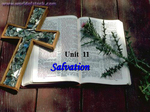 综合英语 unit 1 salvation