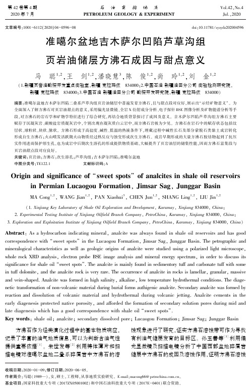 准噶尔盆地吉木萨尔凹陷芦草沟组页岩油储层方沸石成因与甜点意义