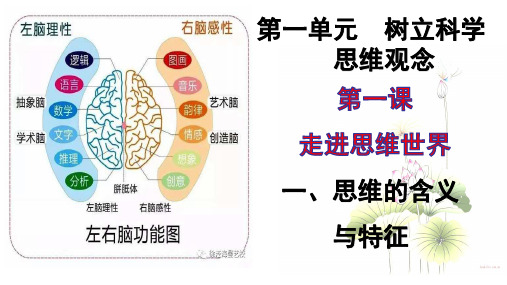 1.1 思维的含义与特征 课件-高中政治统编版选择性必修三 逻辑与思维(共24张PPT)