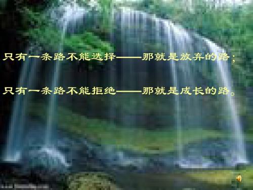 影响化学平衡的因素