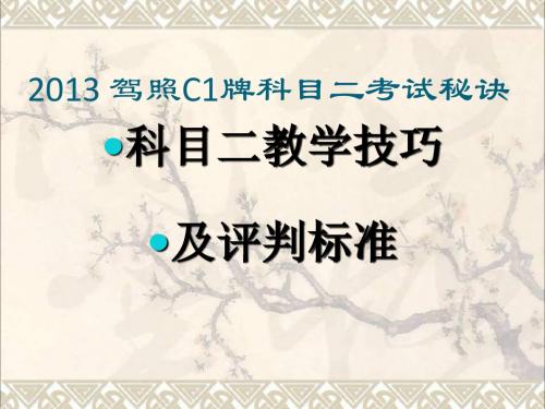 2013C1科目二教学技巧及评判标准(新)15891349