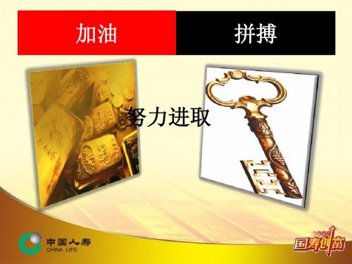 国寿新版创业说明会52页