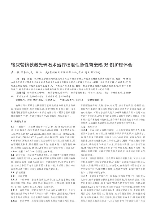 输尿管镜钬激光碎石术治疗梗阻性急性肾衰竭35例护理体会