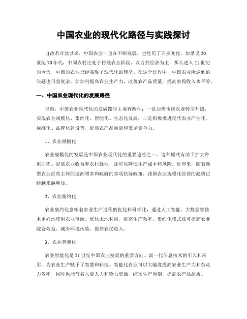 中国农业的现代化路径与实践探讨