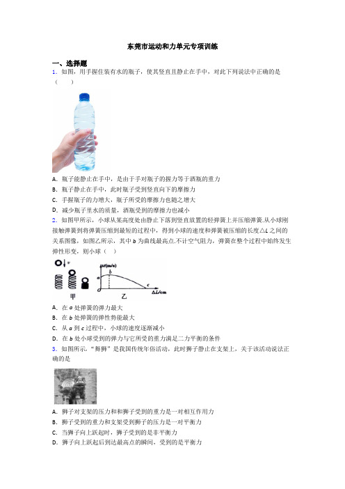 东莞市运动和力单元专项训练