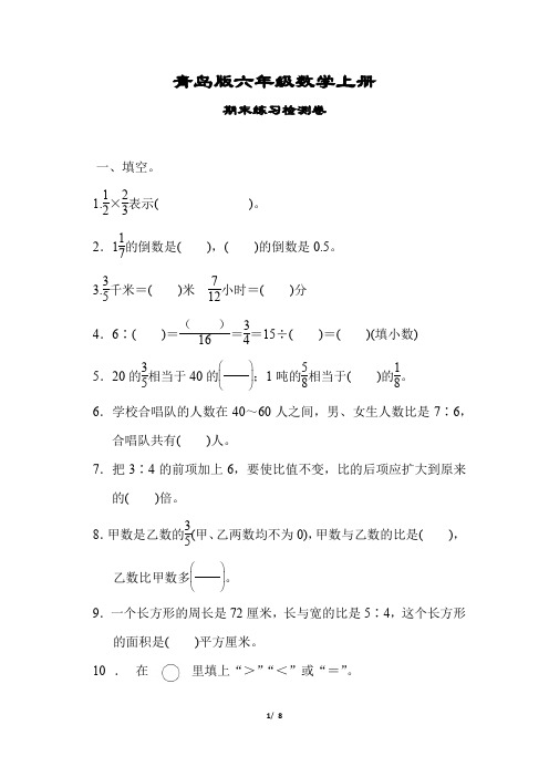 青岛版六年级数学上册《综合练习》(附答案)