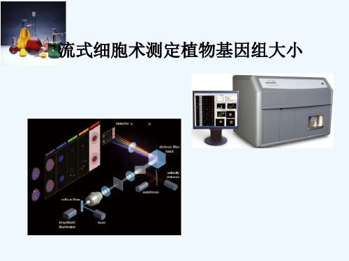 第十一课流式细胞术测定植物基因组大小