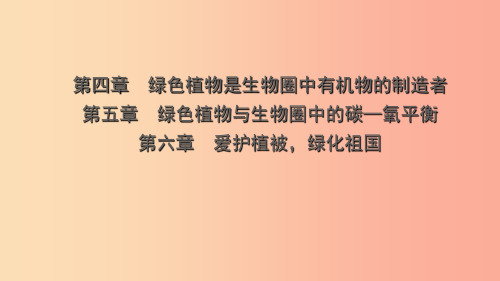 山东省2019年中考生物总复习 第三单元 生物圈中的绿色植物 第四章 第五章 第六章课件PPT