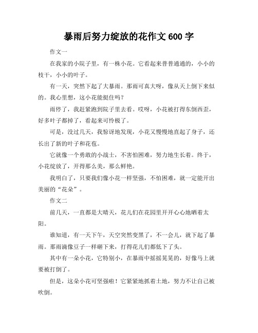 暴雨后努力绽放的花作文600字