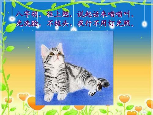 八字胡,往上翘,说起话来喵喵叫,光洗脸,不梳头,夜行不