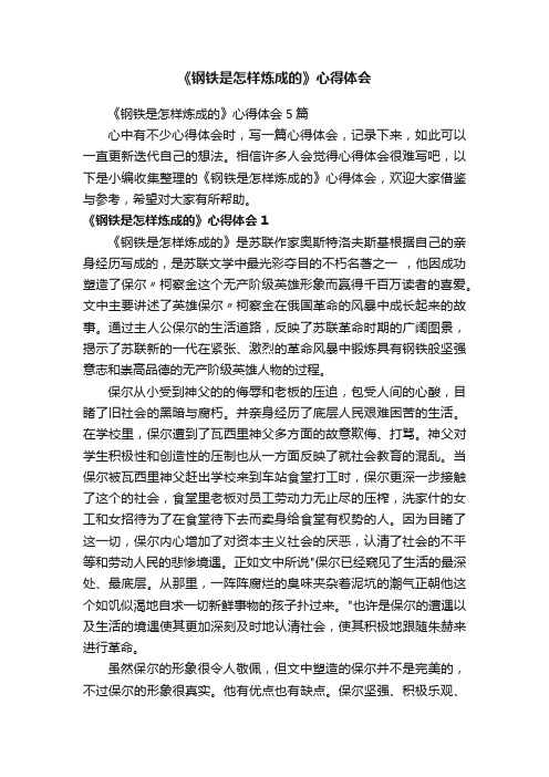 《钢铁是怎样炼成的》心得体会5篇