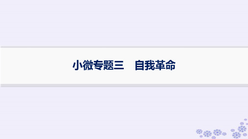 适用于新高考新教材备战2025届高考政治一轮总复习必修3小微专题三自我革命课件