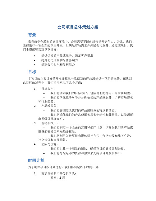 公司项目总体策划方案