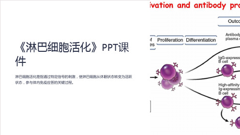 《淋巴细胞活化》课件