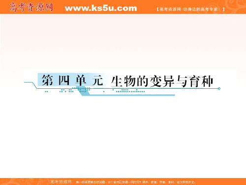 高考生物一轮复习 4.1基因突变和基因重组课件 新人教版必修2