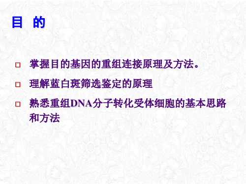 目的基因的连接、转化、涂板培养ppt