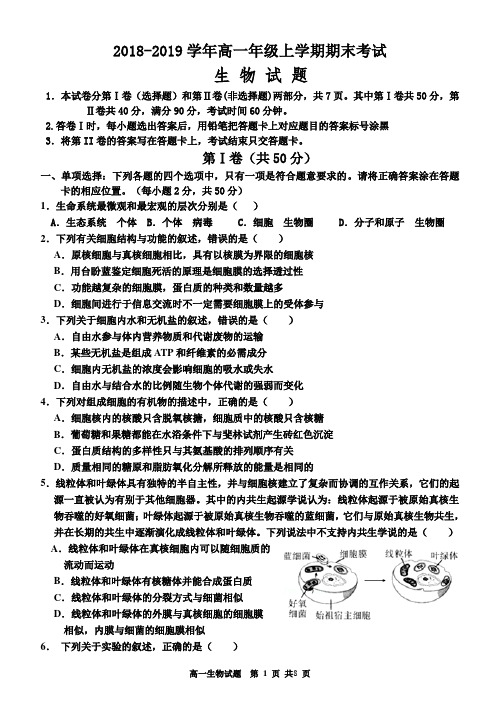 高一期末生物试题 及答案