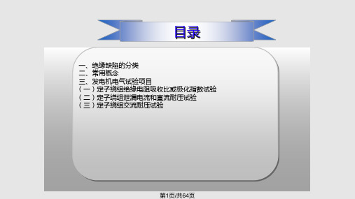 发电机电气试验PPT课件