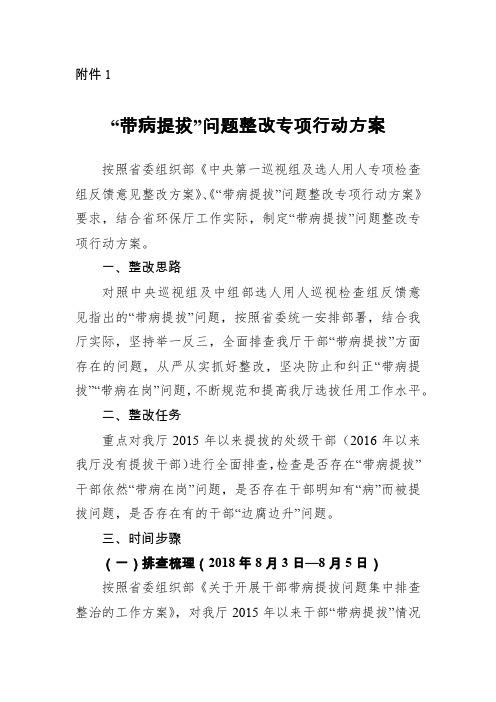 带病提拔问题整改专项行动方案