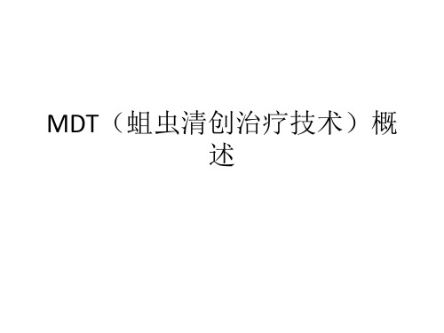 MDT(蛆虫清创治疗