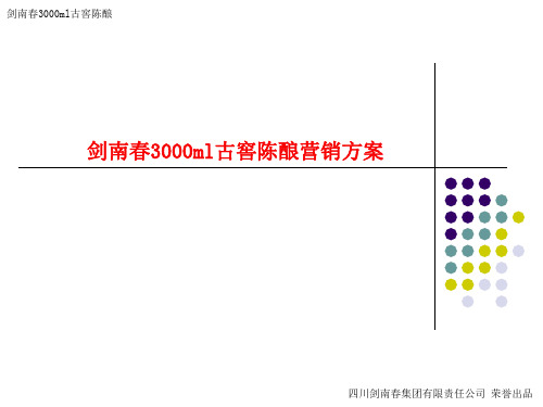 剑南春3000ml营销方案