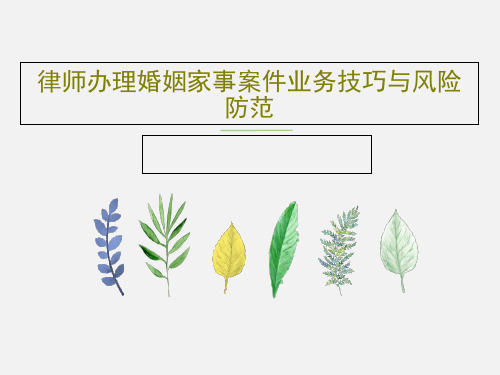 律师办理婚姻家事案件业务技巧与风险防范51页PPT