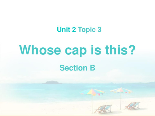 《Whose cap is this》SectionB PPT【精品推荐课件】