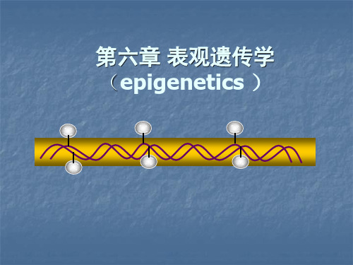 第六章 表观遗传学