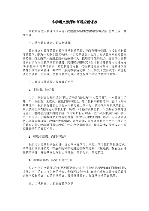 小学语文教师如何适应新课改