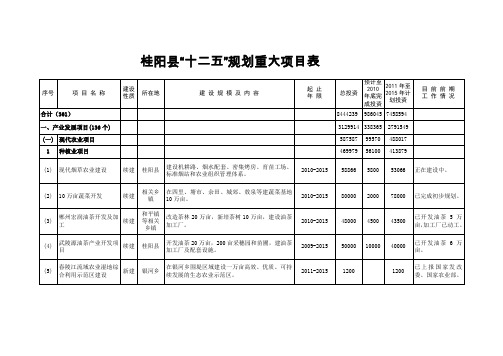 桂阳县十二五规划重大项目表[管理资料]