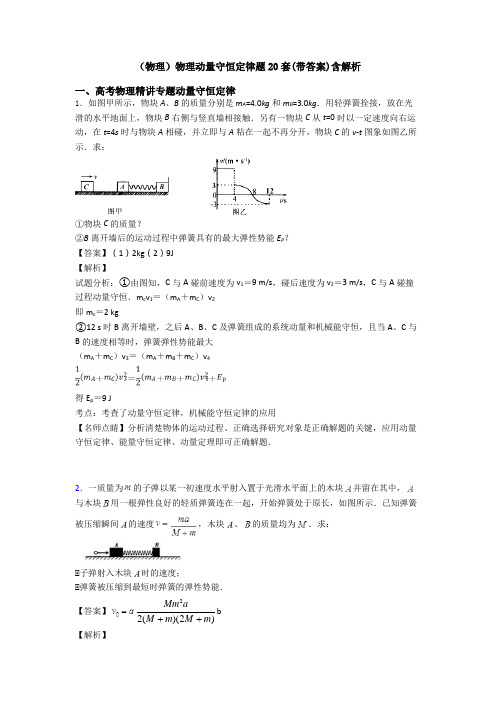 (物理)物理动量守恒定律题20套(带答案)含解析