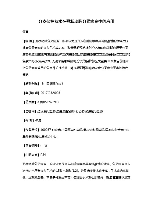 分支保护技术在冠状动脉分叉病变中的应用