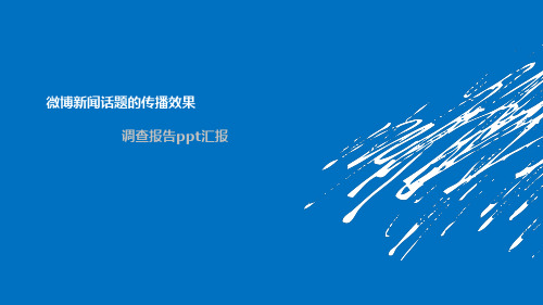 调查报告的PPT汇报版