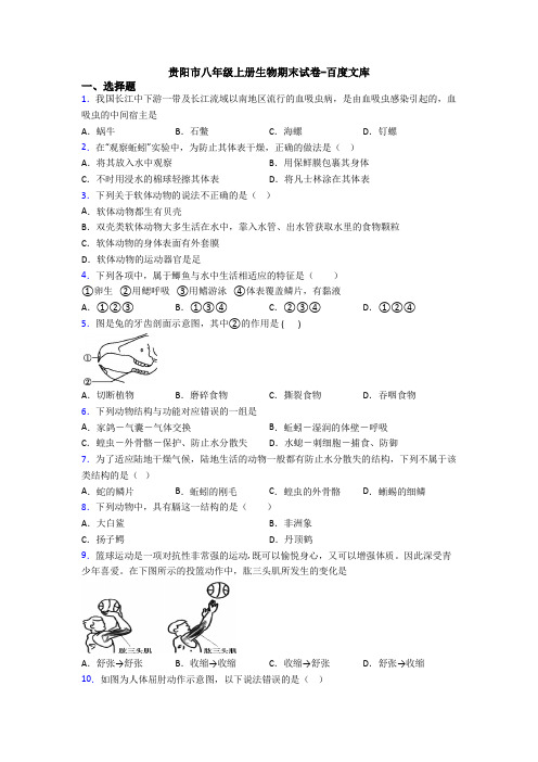 贵阳市八年级上册生物期末试卷-百度文库