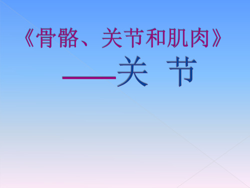 四年级上册科学课件-4.2骨骼、关节和肌肉-关节 教科版(共17张PPT)