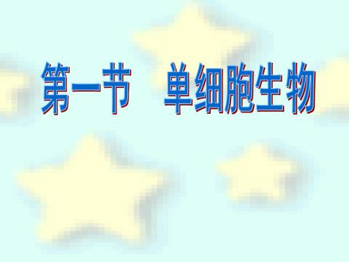 苏教版生物七年级上册2.4.1单细胞生物 课件(共24张PPT)