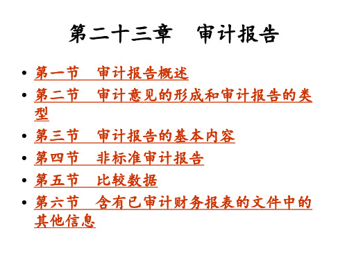 第23章注会审计报告