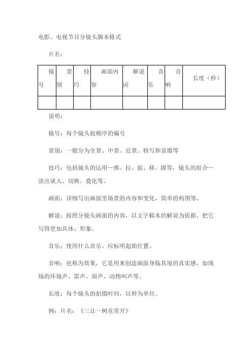 电影分镜头脚本格式