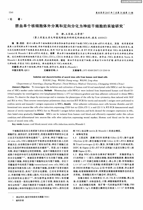 脐血单个核细胞体外分离和定向分化为神经干细胞的实验研究