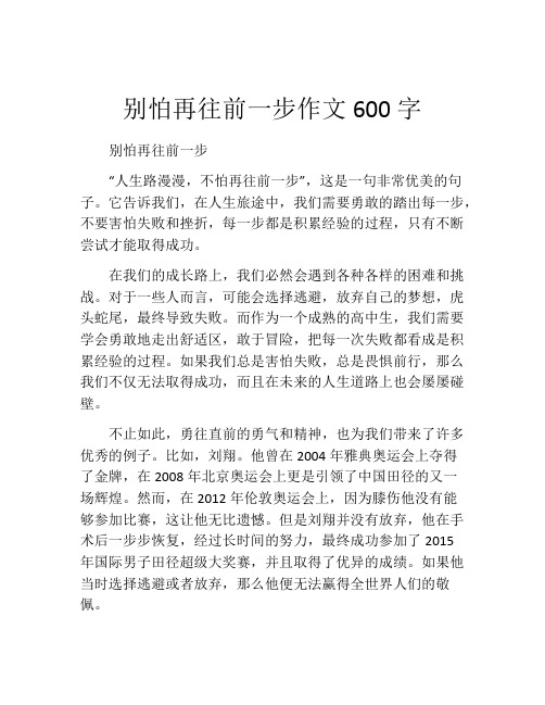 别怕再往前一步作文600字