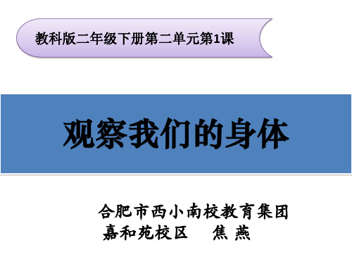 二年级下册科学《1.观察我们的身体》 教科版